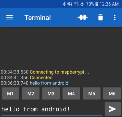 raspberry pi serial terminal program